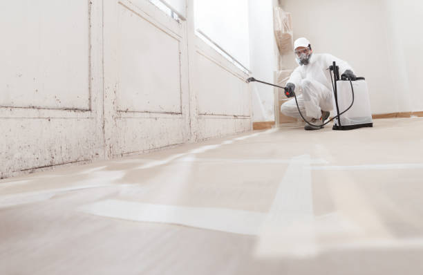 24/7 Emergency Basement Mold Remediation experts in New Windsor, MD