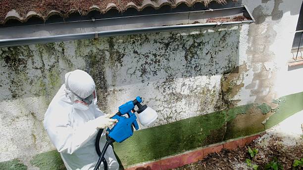 Top rated local Basement Mold Remediation specialists in New Windsor, MD